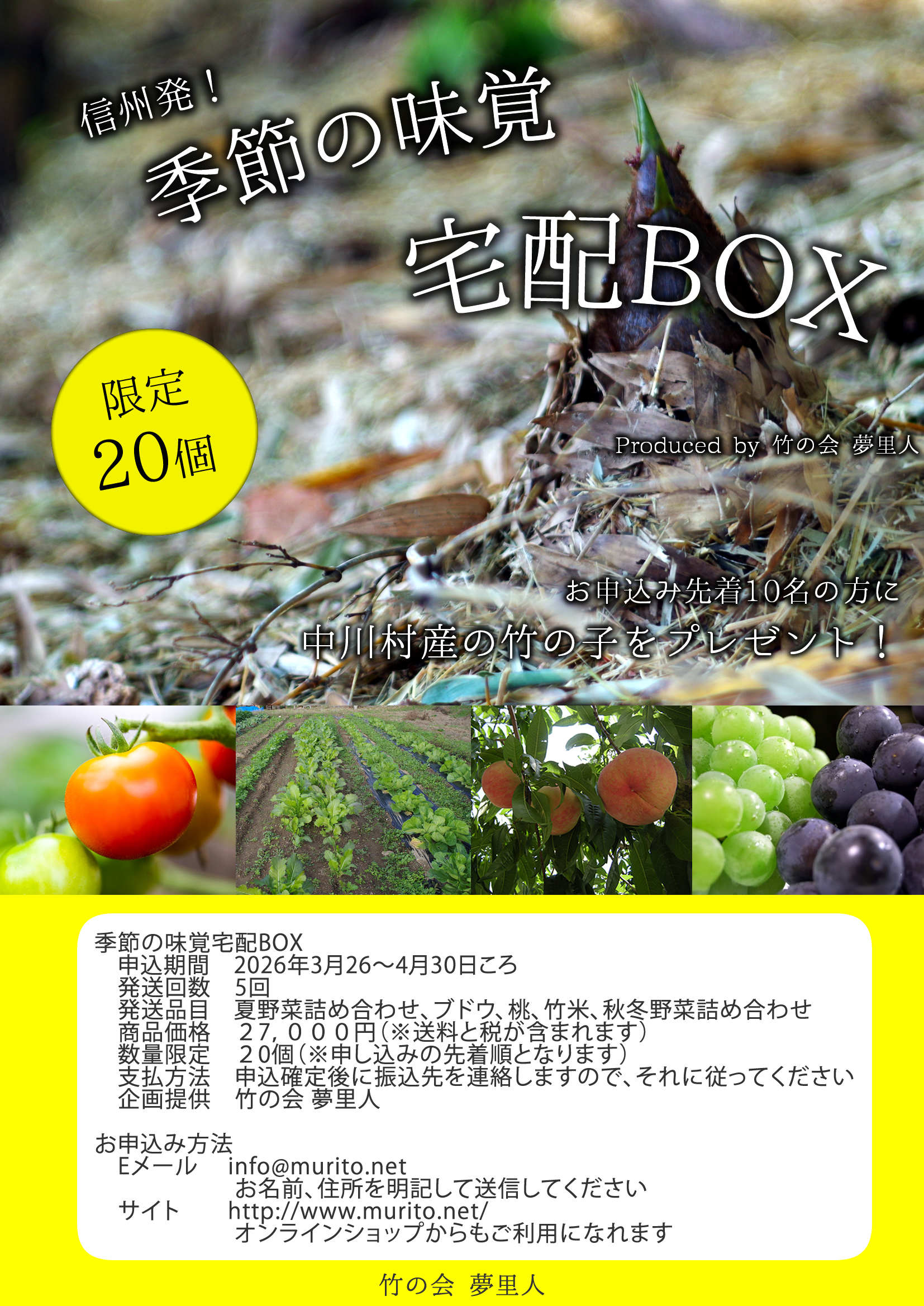 ����ȯ���������̣������BOX 2026